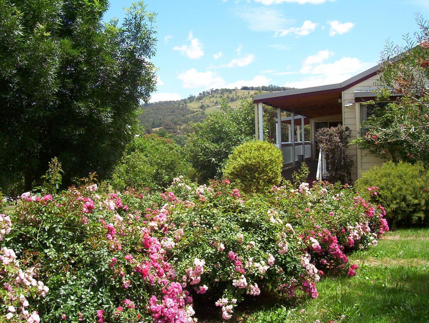 Yarra Glen Bed & Breakfast Extérieur photo