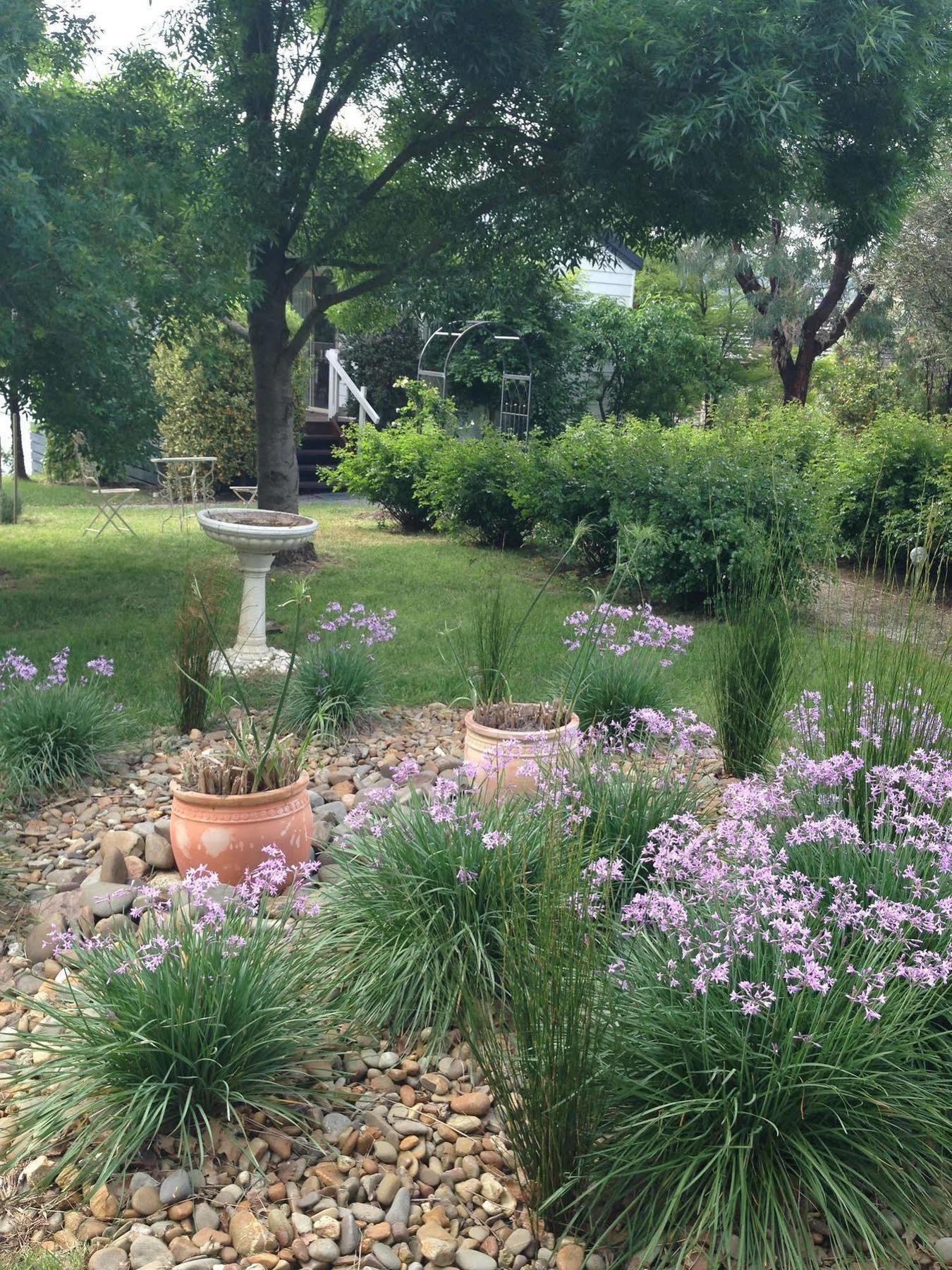 Yarra Glen Bed & Breakfast Extérieur photo